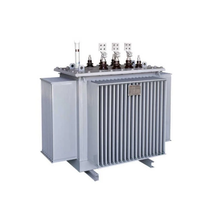 S11 Compact Substation หม้อแปลงไฟฟ้าแบบแช่น้ำมัน