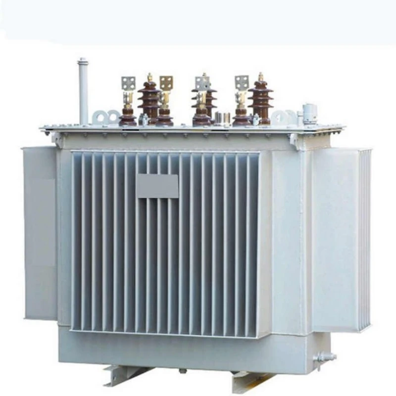 S11 Compact Substation หม้อแปลงไฟฟ้าแบบแช่น้ำมัน